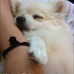 Meet your Posher, Linda